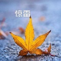 夏沫 - 口是心非 (DJ版)