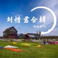 陈旭东Dong - 爱情花园