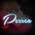 N-FASIS、Joel Garcia Dominguez、Dj Alexis - Perrea
