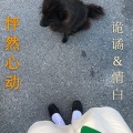 怦然心动