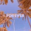 Wildpants - 亚哲大大-Forever (Remix)