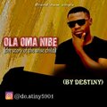 Destiny - Oma nibe