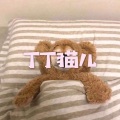 呆妹儿、小可 - 白龙马
