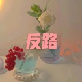 呆妹儿、小可 - 酒杯杯 (DJ舞曲版)