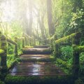 Rain Recorders、Asian Zen: Spa Music Meditation、Yoga - Walk In the Park