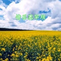 明兴 - 情系塞罕坝