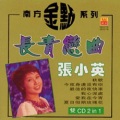 张小英 - 难忘一夜情