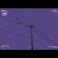 marriage - 亲爱的你
