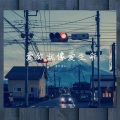 清柠苦瓜 - 路过南京，路过你