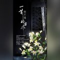 白芍花、江瑾瑜 - 一首想不通的古风