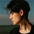 杨东野 - 风满楼