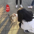 曼崽 - 热爱迎万难