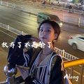 Along - 生活不是这样 就是那样 (DJ版)