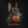 Daniel Fridell - Hot Thang
