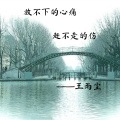 王雨尘 - 放不下的心痛赶不走的伤