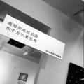 忧伤皮皮猪 - I Love you 3000