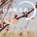 云柒 - 把酒祝东风