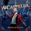 Peter Hollens - The Other Side
