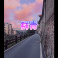 瓶瓶 - 夺命十三枪 (无奈版)