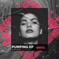 mad mike、Wern Records - Pumping