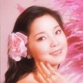 邓丽君 - アカシアの夢