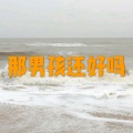呆妹儿、小可 - 情圣