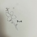 事儿精 - 云在青天水在瓶