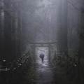 海豹Azrs、曲误瑾瑜 - 森林 RAP版