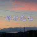 呆妹儿、小可 - 莫斯科