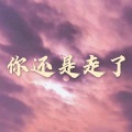 好听 (车载DJ版)