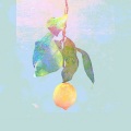 Hakurin - Lemon