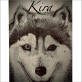 El Grifone - Kira