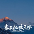 郭涌 - 跟着你来到一个地方