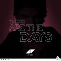 Avicii、Brandon Flowers - The Days