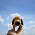 文木水 - 还不是因为你长得不好看