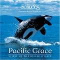 Pacific Grace