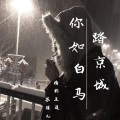 你如白马踏京城
