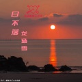 龙涵雪 - 日不落 (龙涵雪混响版)