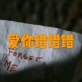 呆妹儿、小可 - 小苹果