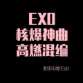 激辣味噌 - 澤野弘之-泽野弘之×EXO (激辣味噌 remix)