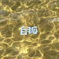 呆妹儿、小可 - 白狐