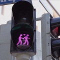 叫我迟到 - 蠢货