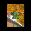香茗 - 酒醉的蝴蝶 (霸宠版)