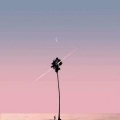 李三废 - 他好像一条狗