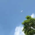 Shikako - 世界で一番近くに居るのに
