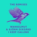 I Keep Calling (Boris Dlugosch & Cassara Remix Radio Edit)