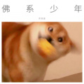苏效音 - 佛系少年