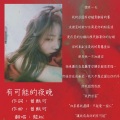龙姒 - 有可能的夜晚