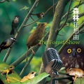 Various Artists - 中国树蛙