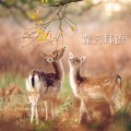 林屿森LIN - 天天2003